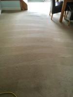 Trees Carpet Cleaning image 8